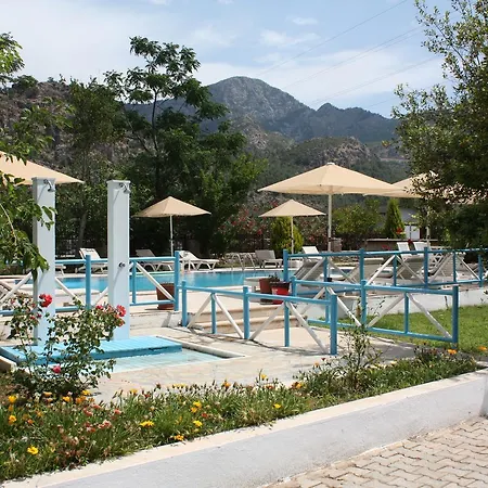 Hotel Palmiye & Marina 2*