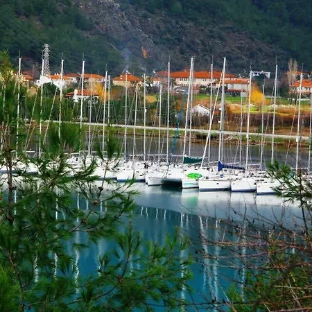 Palmiye & Marina