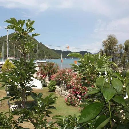 Palmiye & Marina Ξενοδοχείο 2*