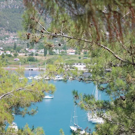 Ξενοδοχείο Palmiye & Marina Orhaniye (Marmaris)