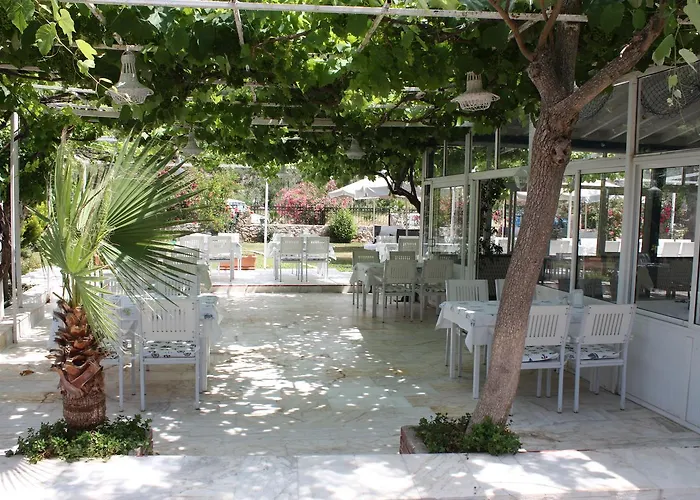 Palmiye & Marina ホテル Orhaniye