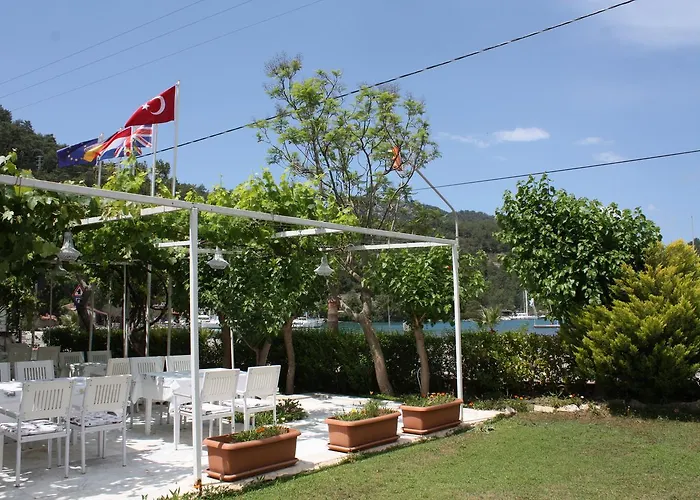 Palmiye & Marina ホテル
