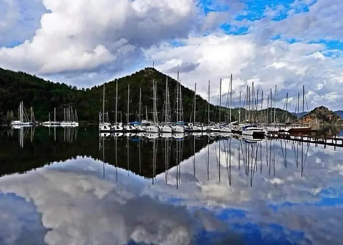 Palmiye & Marina ホテル Orhaniye