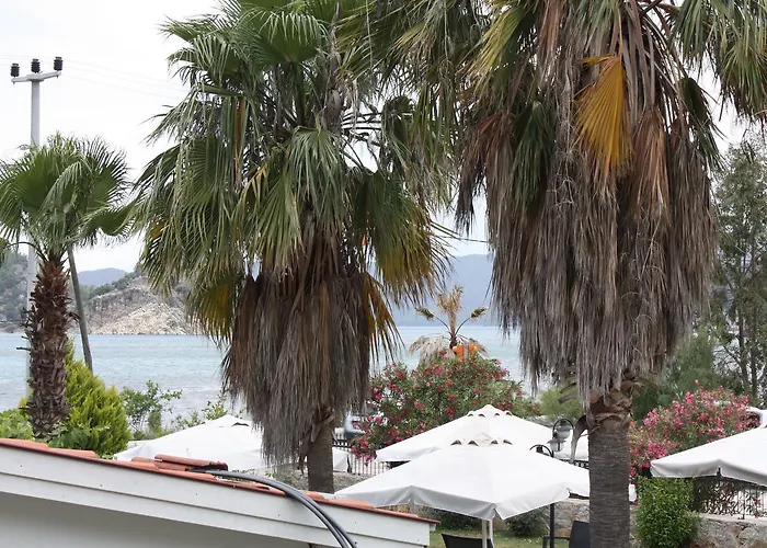 Palmiye & Marina ホテル Orhaniye