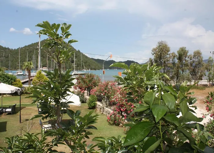 Palmiye & Marina ホテル 2*