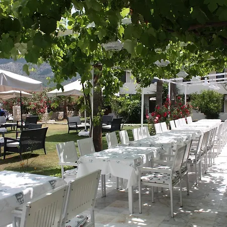 Hotel Palmiye & Marina 2*