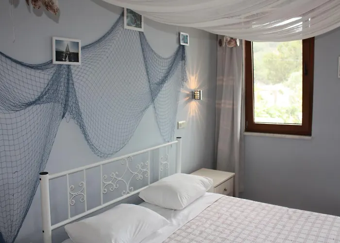 Palmiye & Marina Орхание