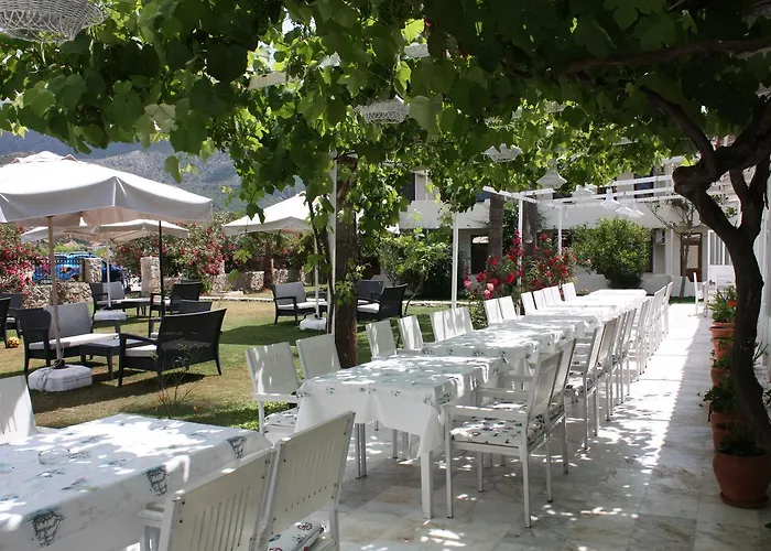 Otel Palmiye & Marina 2*