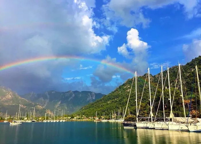 Palmiye & Marina Орхание
