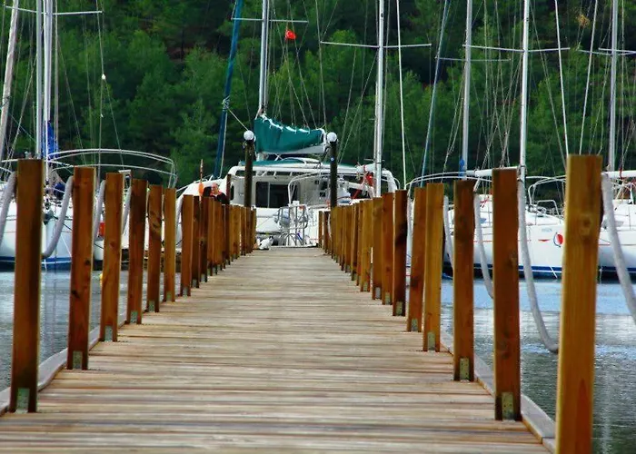 Отель Palmiye & Marina