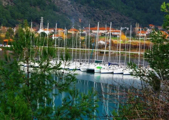 Palmiye & Marina
